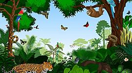 Timeline: LA TAXONOMIA Y LA SISTEMATICA