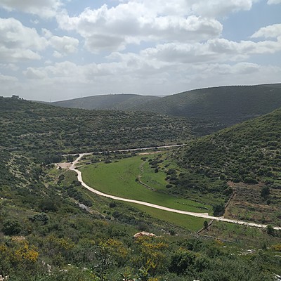 Timeline: ציר הזמן של אילת מרגלית