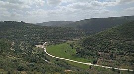 Timeline: ציר הזמן של אילת מרגלית