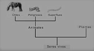 San Agustín realizó una clasificación de los organismos