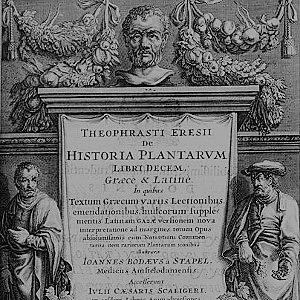 De historia plantarum