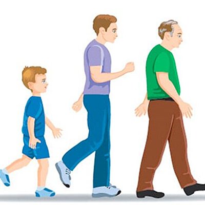 Timeline: La evolución histórica de la Psicología del desarrollo como disciplina