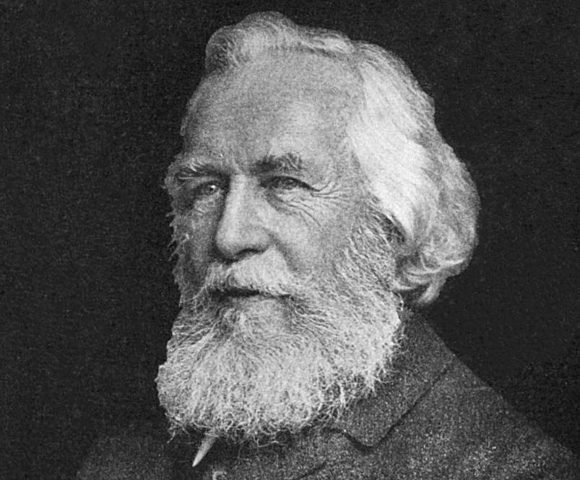 "Ecologia" di Ernst Haeckel