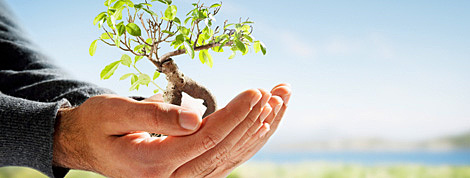 prime leggi sulla tutela ambientale