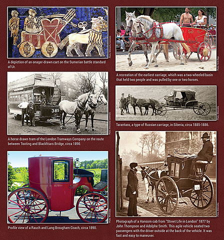 Horse-drawn-carriage