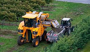 Introducción definitiva de maquinaria en el proceso de la vendimia