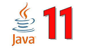 Java versión 11