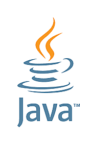 Java versión 1.5