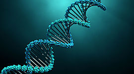 Timeline: History and structure of DNA