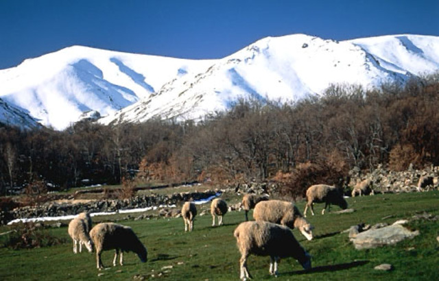 Dialogo en la sierra.