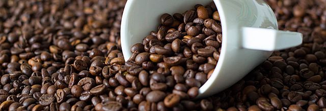 TRANSFORMACIONES ECONOMICAS Y SOCIALES.