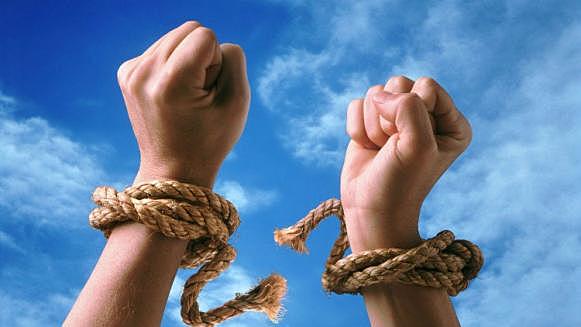 Dignidad Humana (Siglo XX)