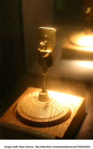 “The first microbiologist”: Antony van Leeuwenhoek, a Dutch cloth maker, and amateur lens grinder,  observes live individual bacteria and protozoa using his homemade microscope.