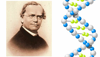 Creació del concepte genètica