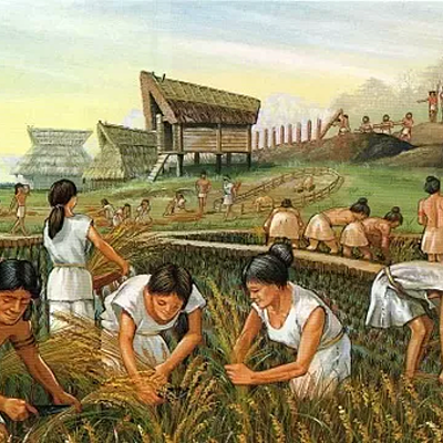 Timeline: Timeline of the Neolithic Revolution