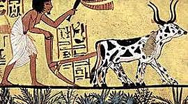 Timeline:  Neolithic Timeline