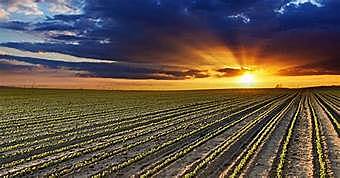 Indus Valley has a large fertile