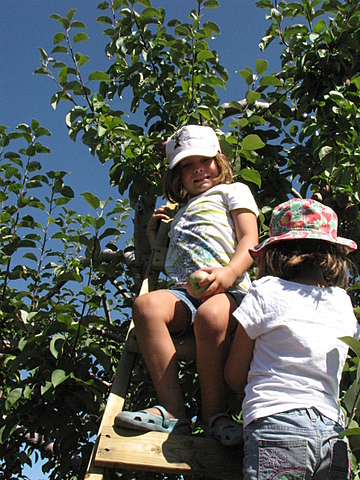 Au pomme avec mon papi