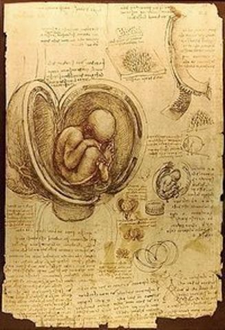 Birth of Leonardo Da Vinci