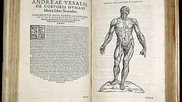 Anatomía de Vesalio