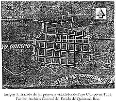 Reforma del artículo 43 de la constitución