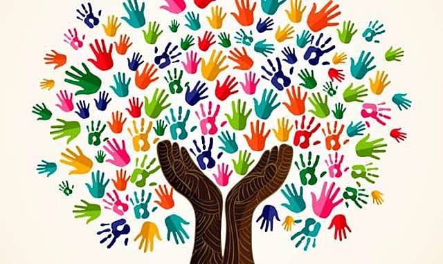 INTERCULTURALIDAD DISTRITAL