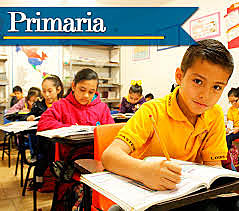 primaria