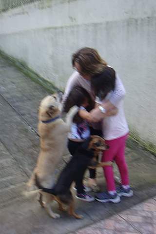 When we adopt my dog