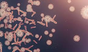 The first microbes were observed