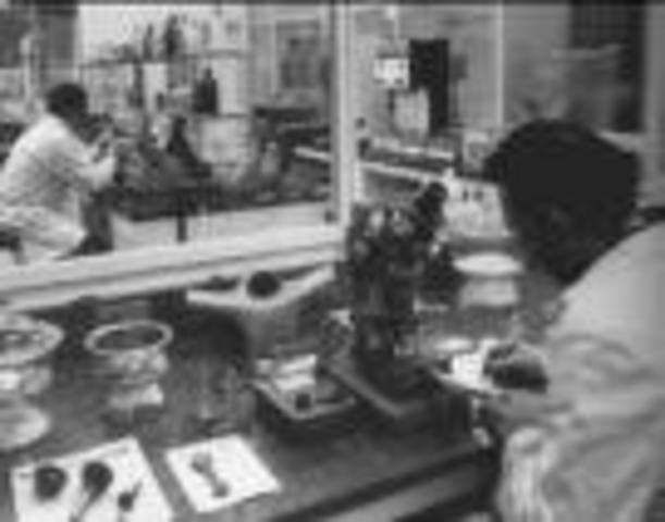 Los Laboratorios Bell de AT&T forman un departamento de calidad,