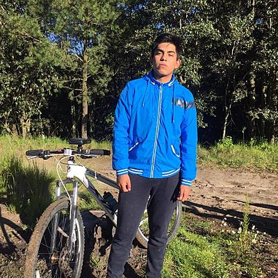 Timeline: Línea de vida