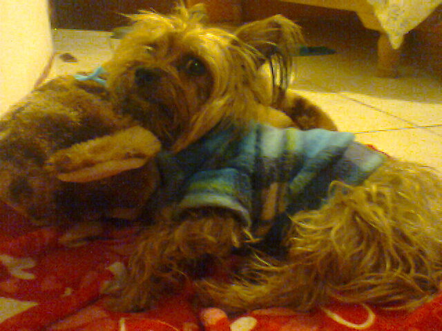 El sabor de la muerte