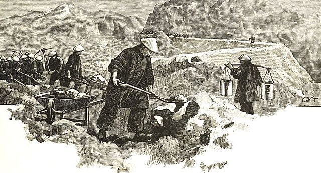 The Coolie Trade Begins