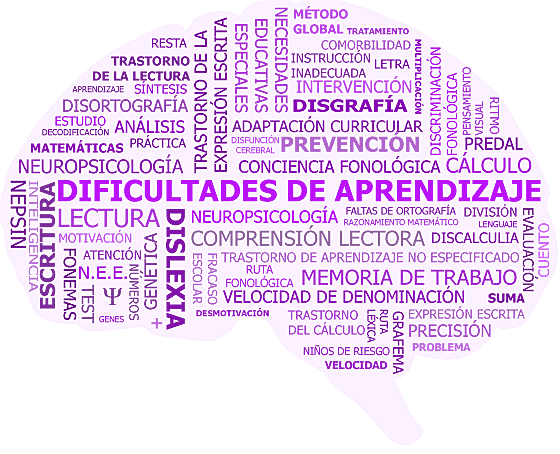 1) Definición de la USOE