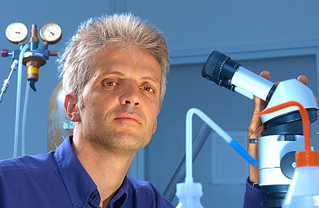 Создание транзистора на основе нанотрубок