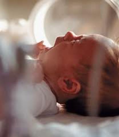 Born Alfredo di estefano