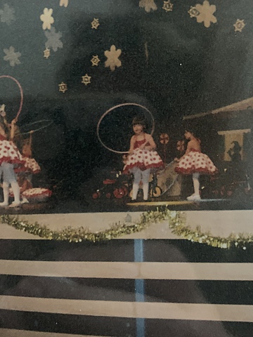 Early Childhood Milestone Cognitive