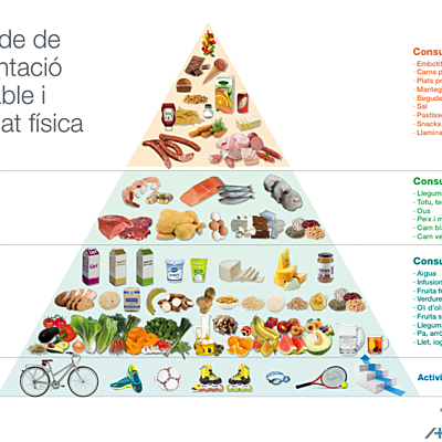 Timeline: História Pirámide Alimenticia