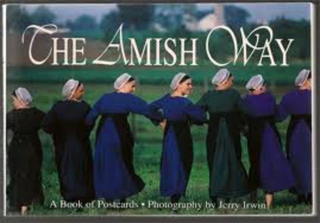 Amish children are exempted from school after 8th grade.