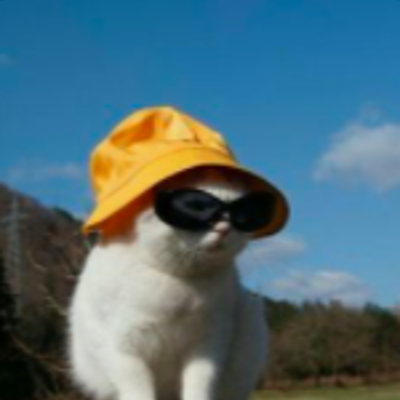 Timeline: PERSONAL TIMELINE PROJECT