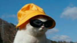 Timeline: PERSONAL TIMELINE PROJECT