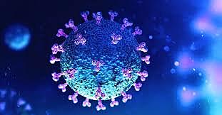 Coronavirus (covid 19)