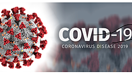 Timeline: Le coronavirus