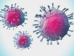 The COVID-19 pandemic arrived to Spain