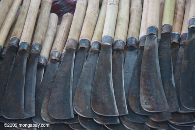 Early Warning Signs of Genocide Preparation