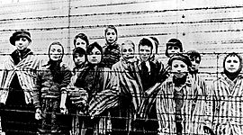 Timeline: De Holocaust