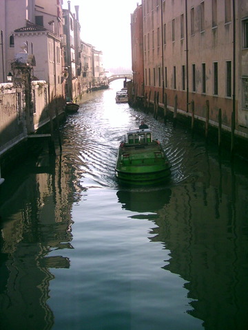 Tribunes balanced by arengo