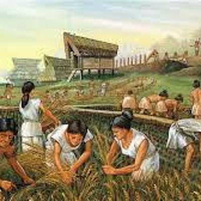Timeline: Timeline of the Neolithic Revolution