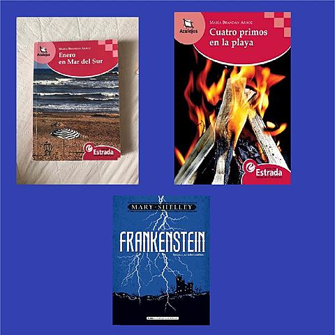 Leí mis primeros libros