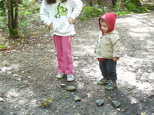 Camping au Mont Mégantic